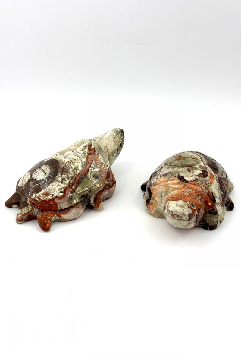 Money Agate Turtle Carvings 3.85"