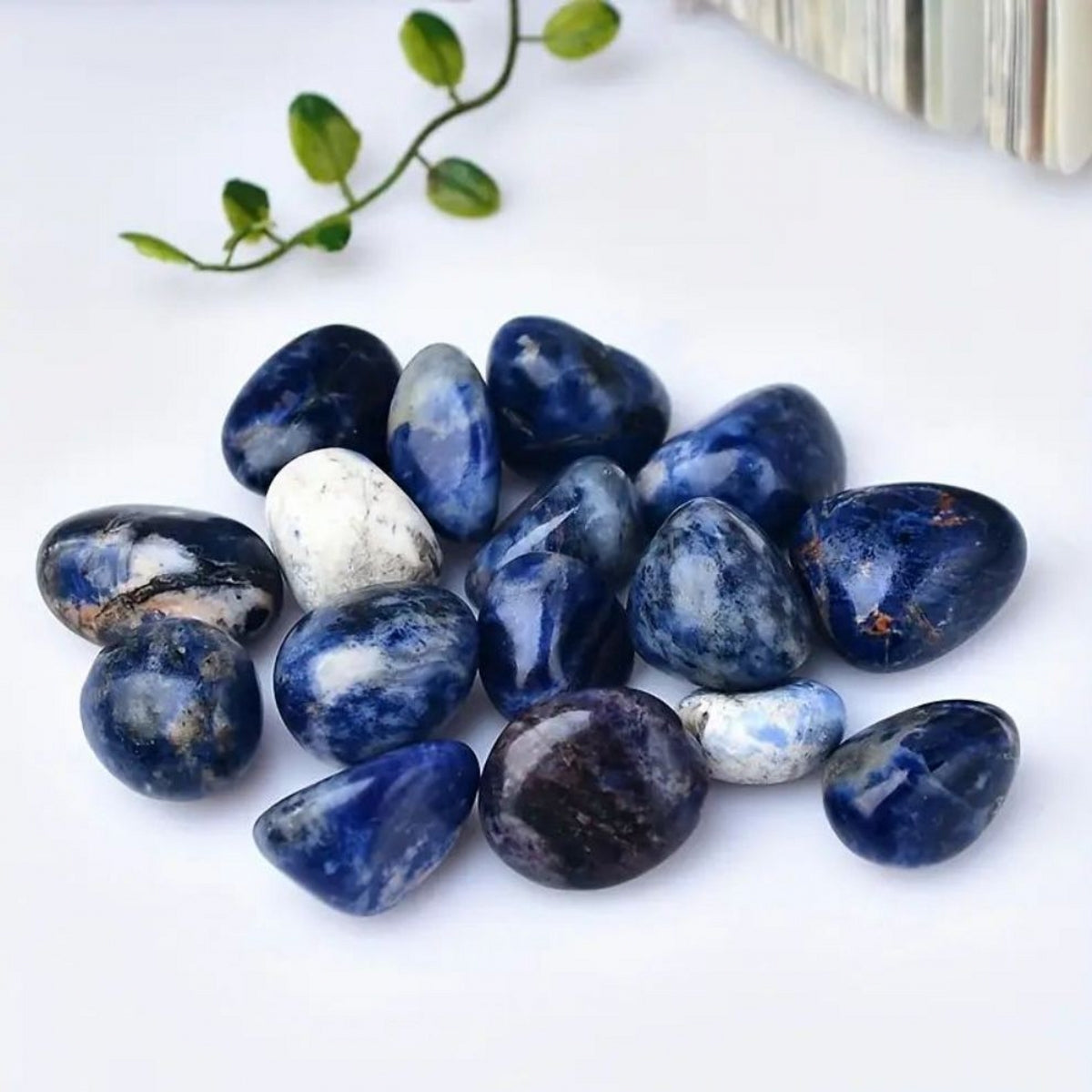 Sodalite Chips Tumbles 0.59"-0.79"