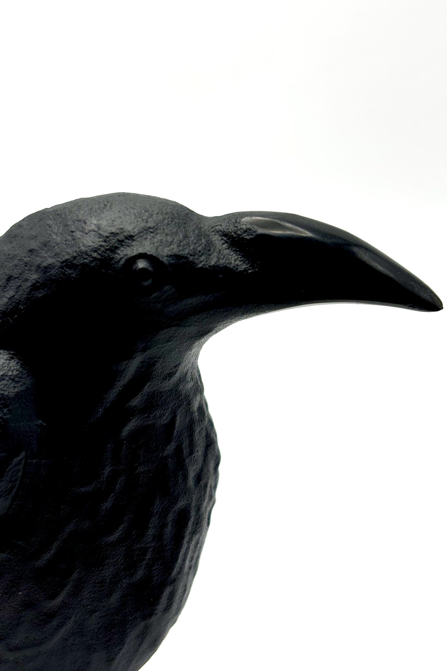 Black Obsidian Crow Big Crystal Raven