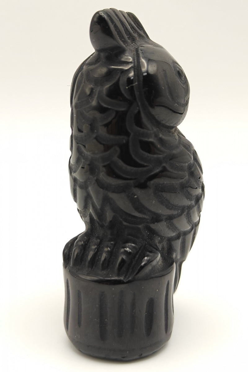 Black Obsidian Parrot Carving Crystal Healing Figurine