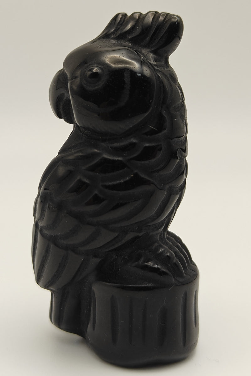 Black Obsidian Parrot Carving Crystal Healing Figurine