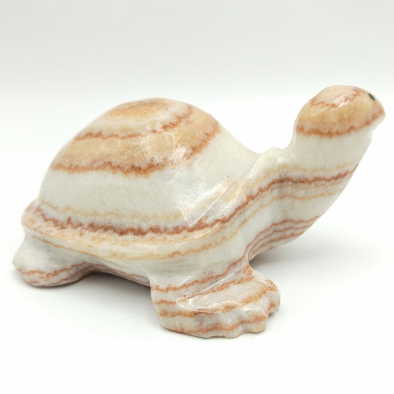 Pork Stone Turtle Carving