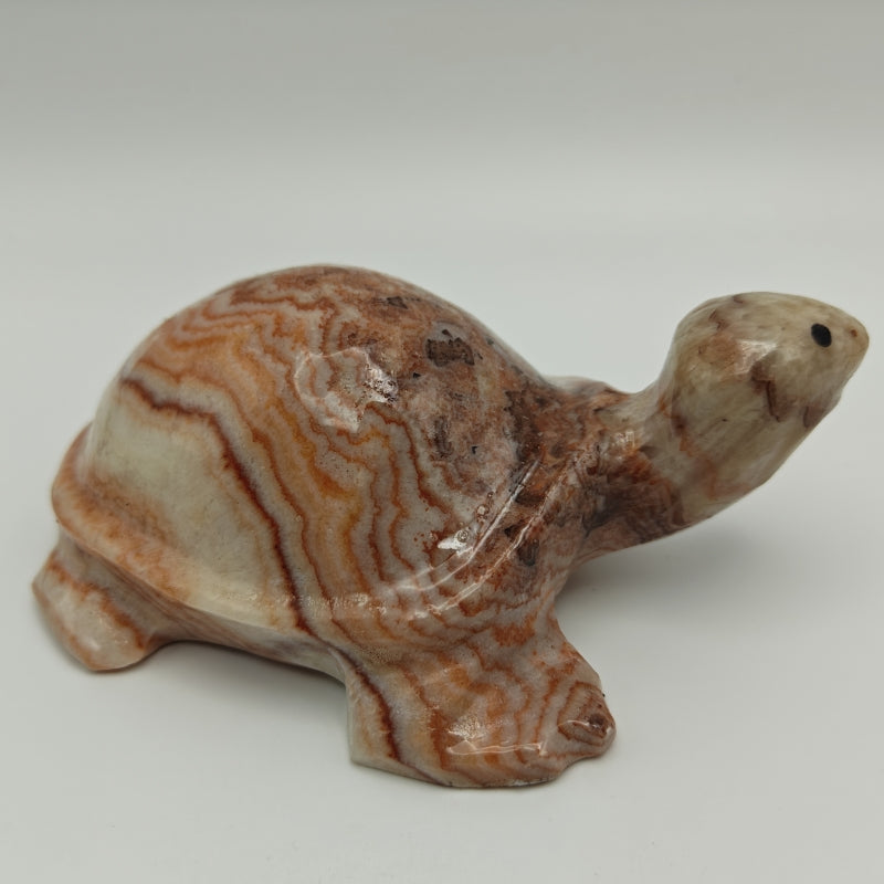 Pork Stone Turtle Carving