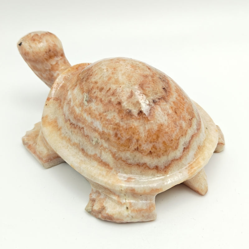 Pork Stone Turtle Carving