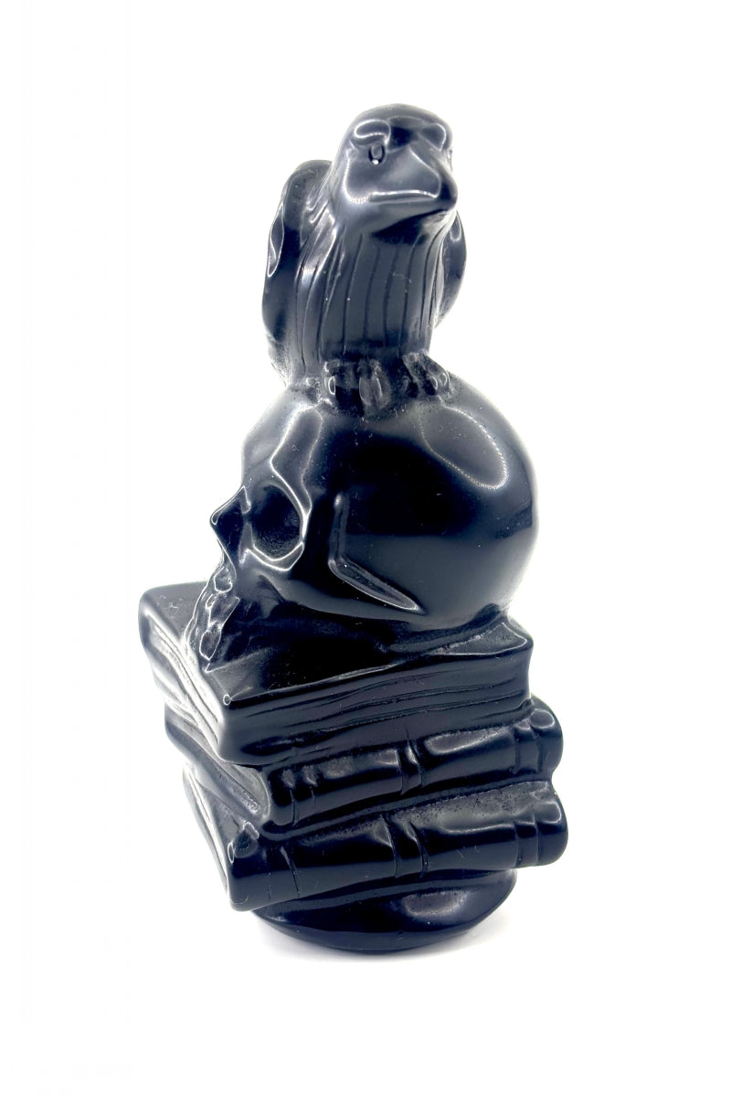 Big Black Obsidian Raven Book Skull Carving 5.51"