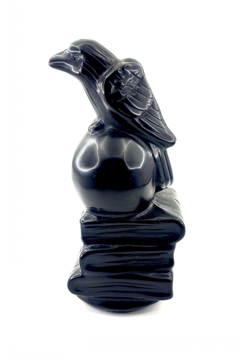 Big Black Obsidian Raven Book Skull Carving 5.51"