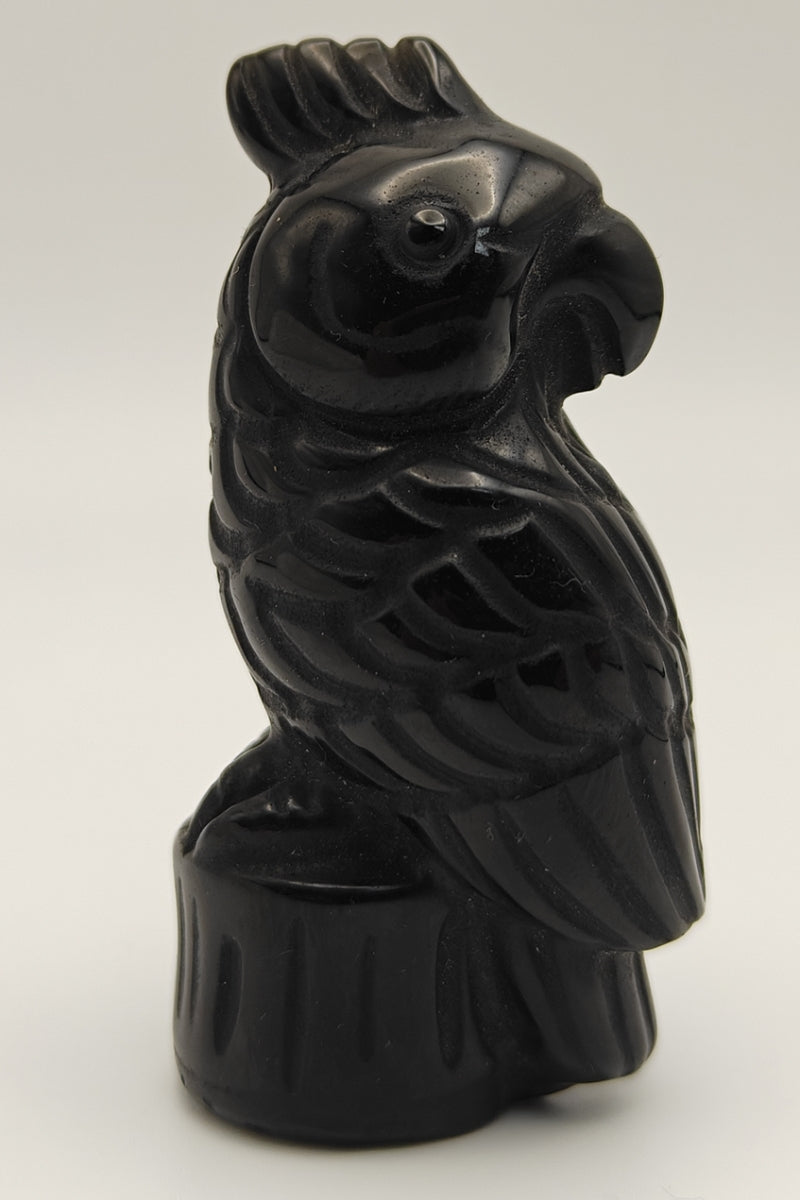 Black Obsidian Parrot Carving Crystal Healing Figurine