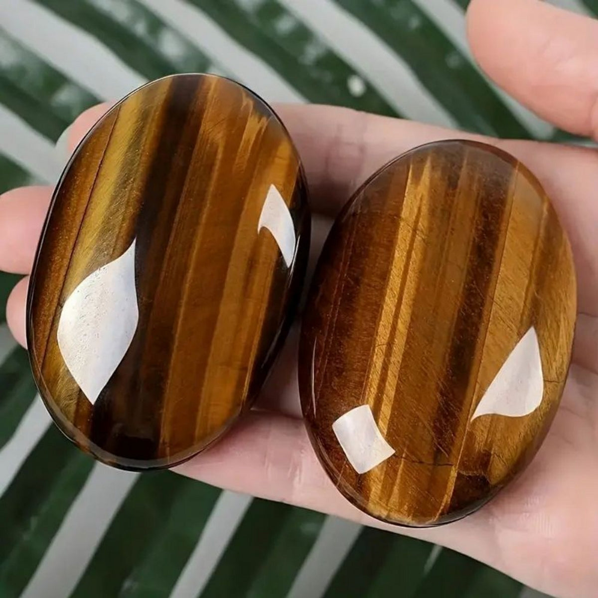 Black Zebra Tiger's Eye Caribbean Calcite Palm Stone