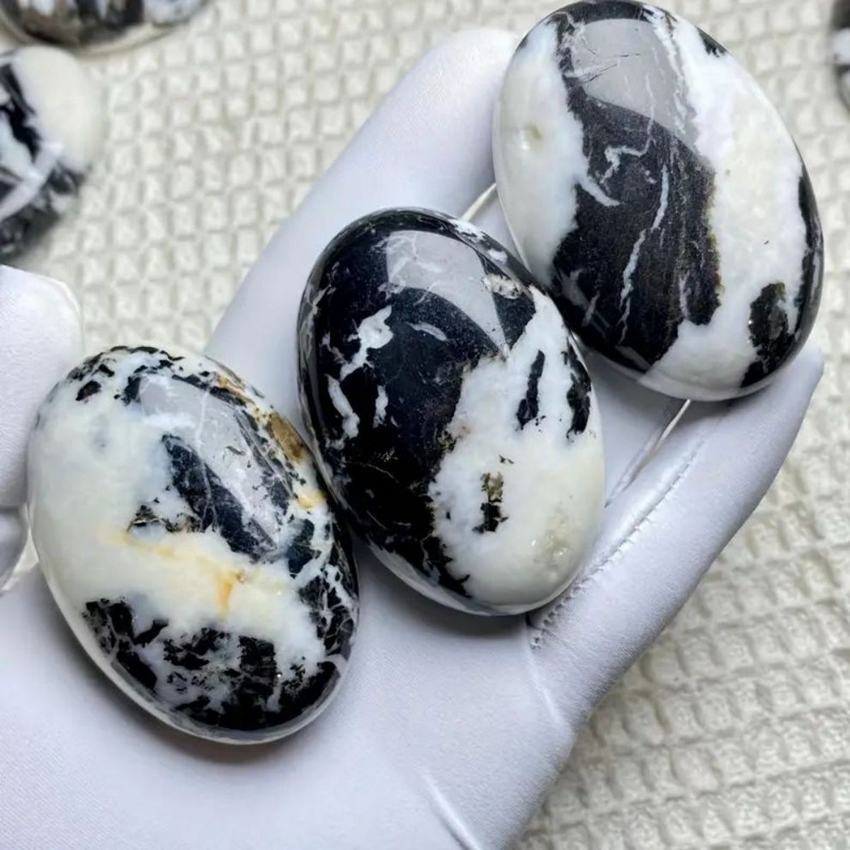 Black Zebra Tiger's Eye Caribbean Calcite Palm Stone