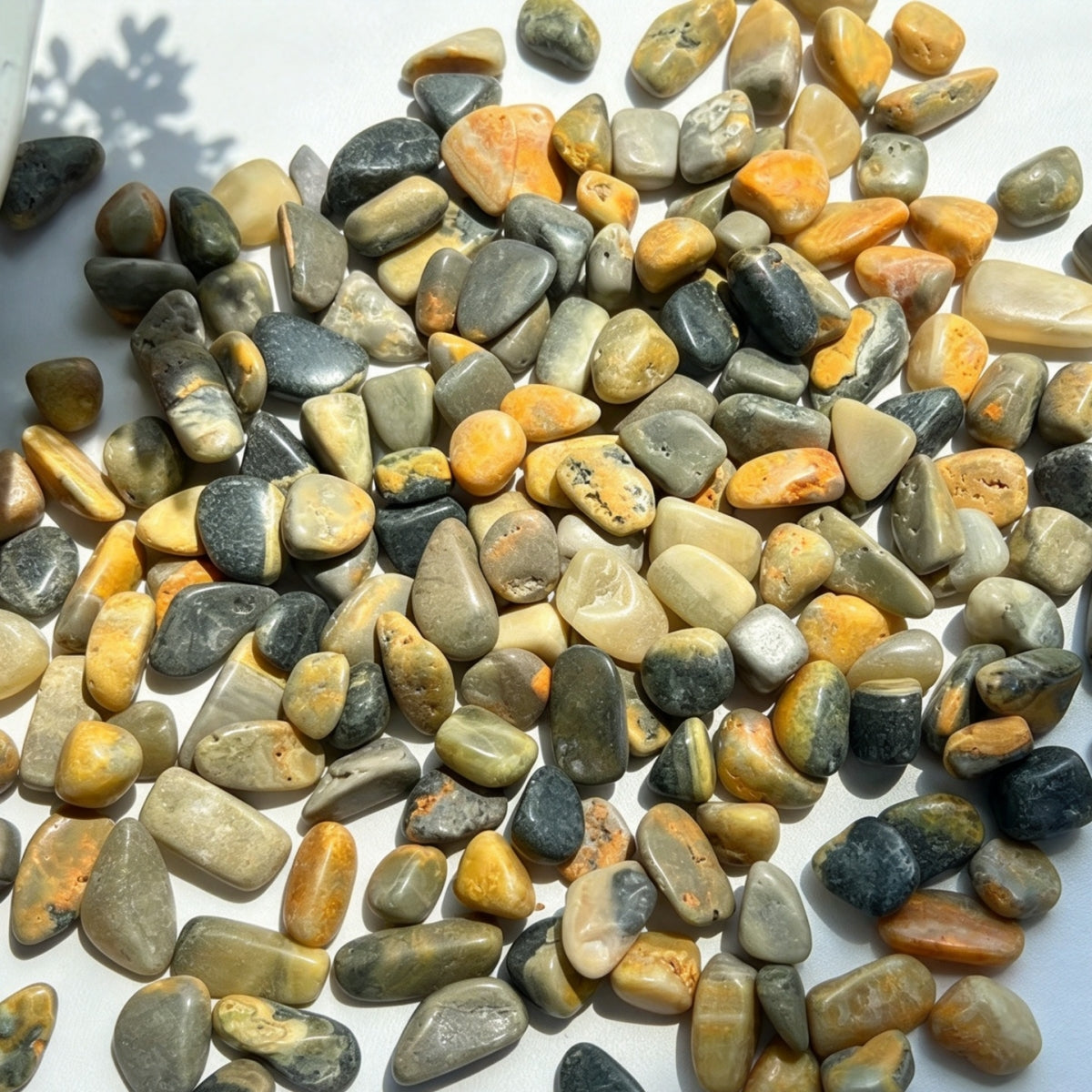 Bumblebee Jasper Chips Small Tumbles 100g