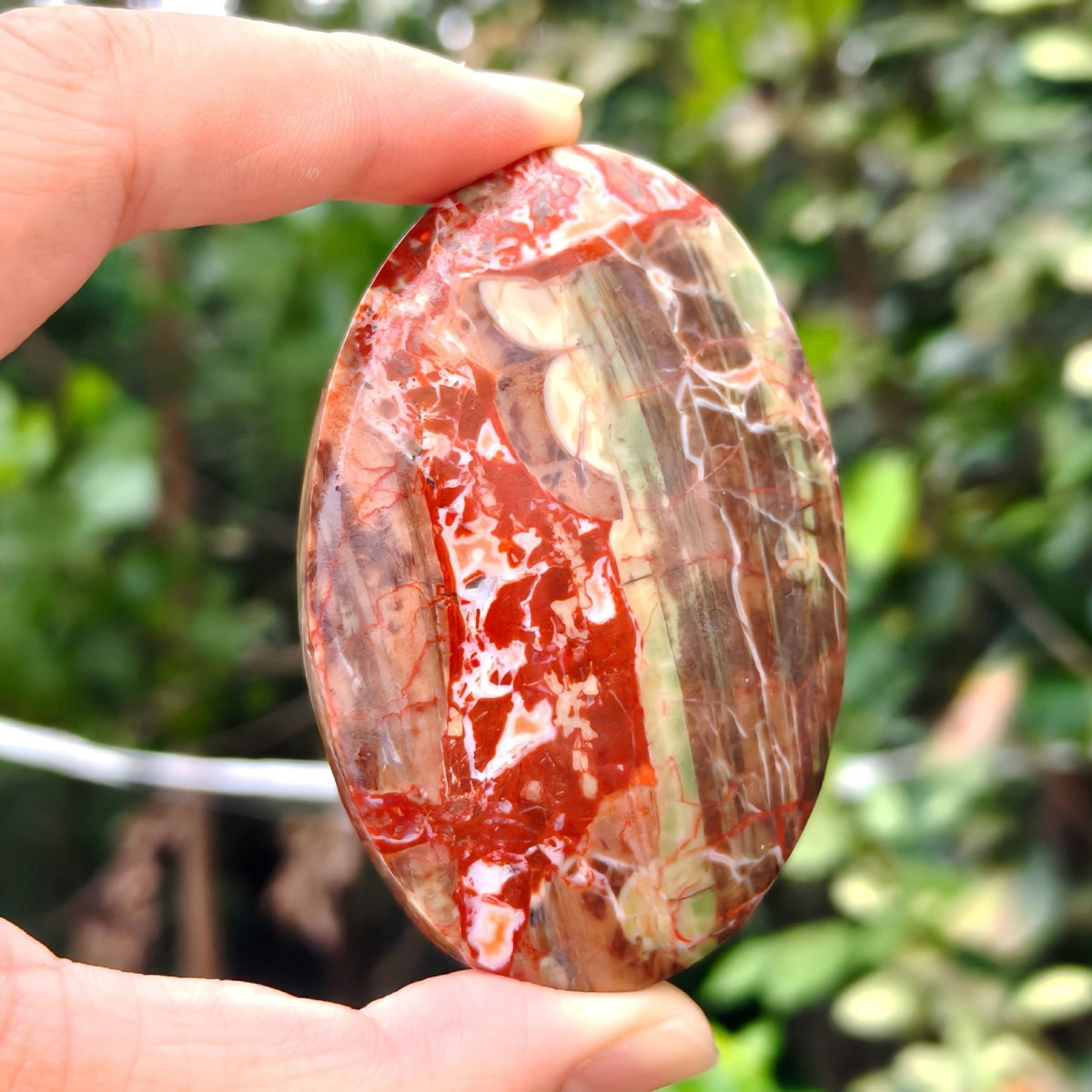 Carnelian Money Agate Green Flower Palm Stone