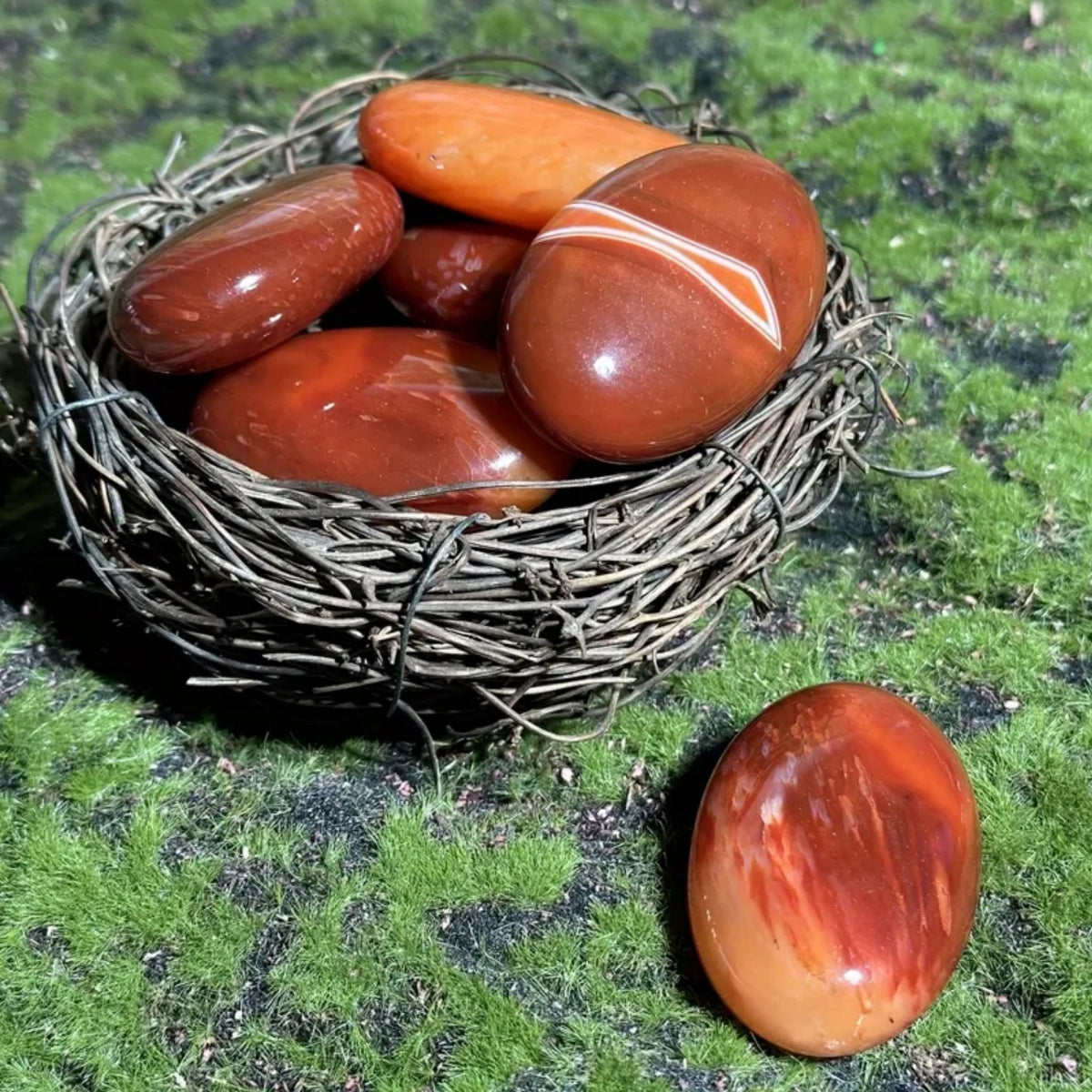 Carnelian Money Agate Green Flower Palm Stone