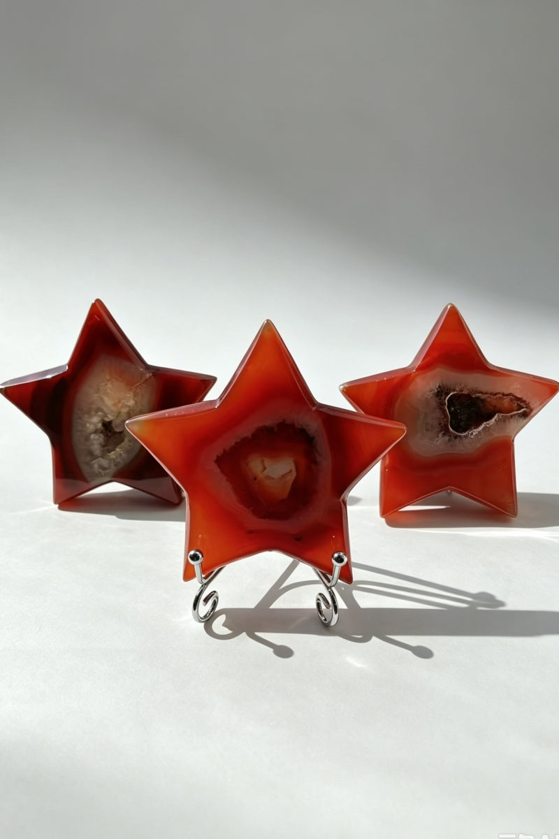 Carnelian Star with Free Holders