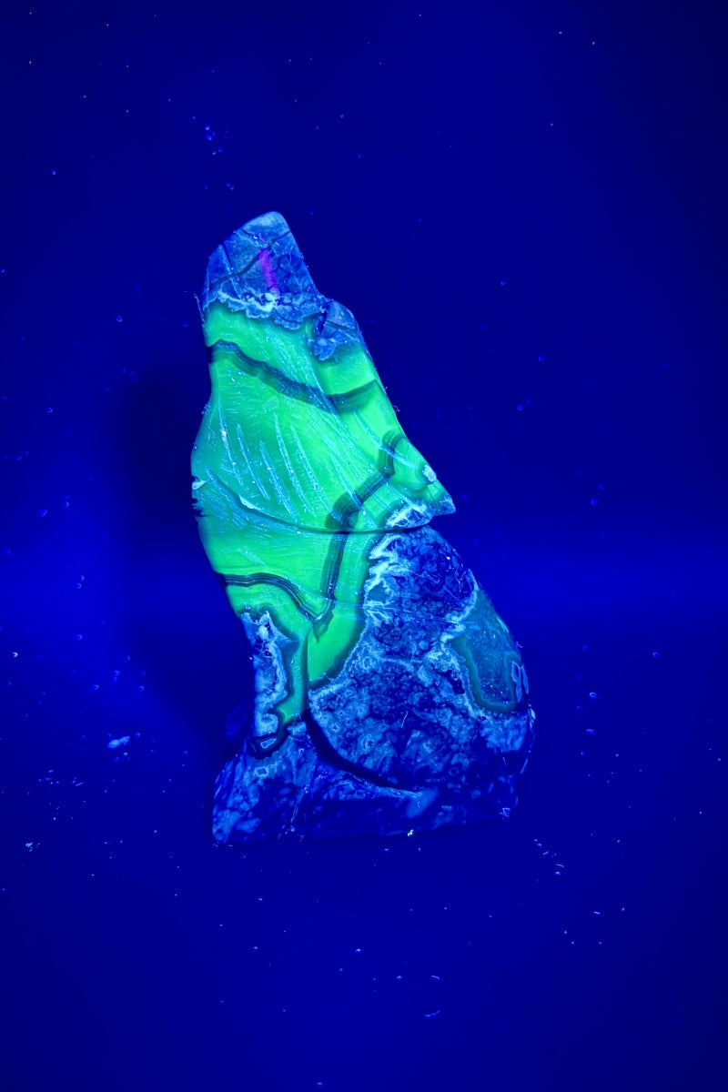 Flashy UV Volcano Agate Wolf Carving 5.17"
