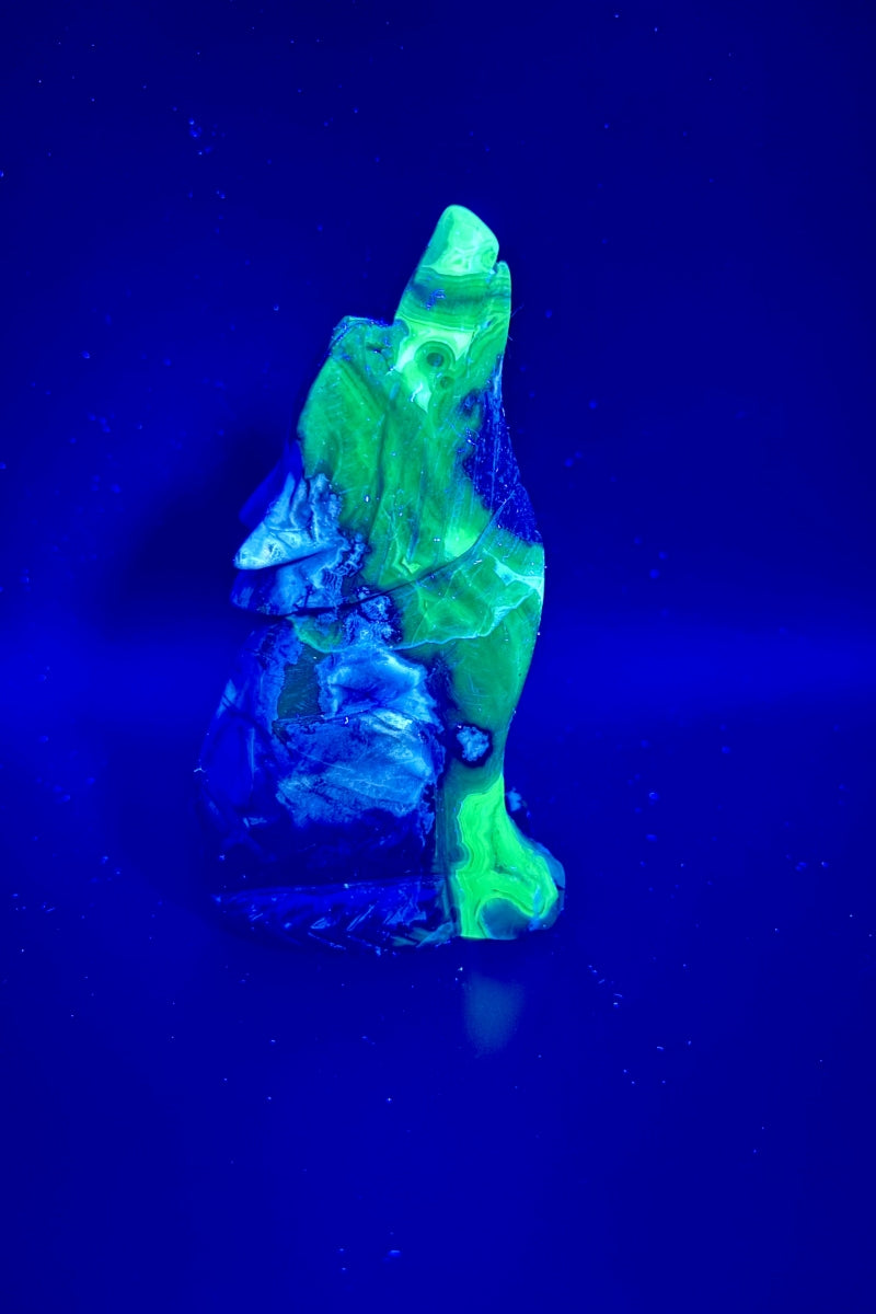 Flashy UV Volcano Agate Wolf Carving 5.17"