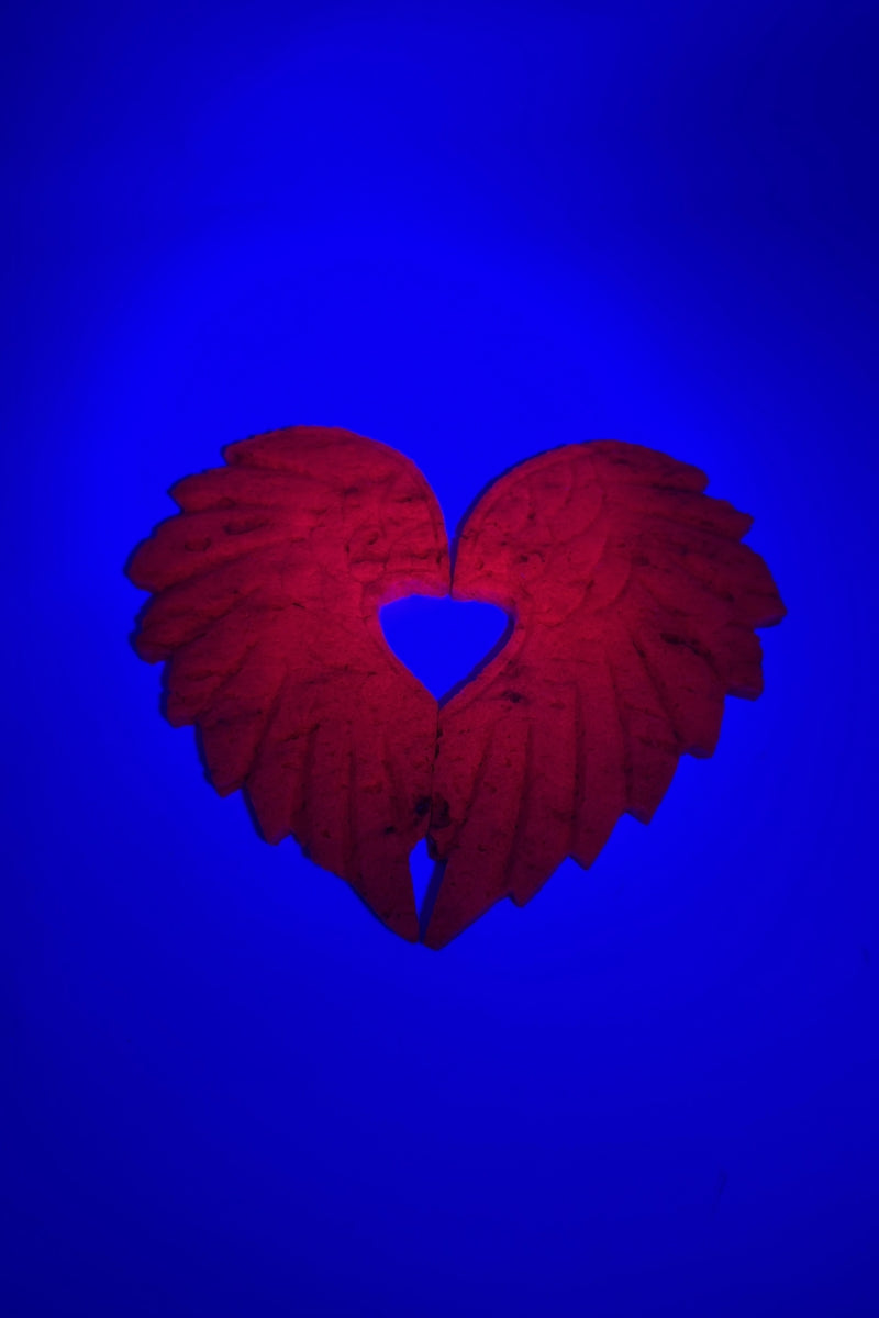 Gorgeously Flashy Ruby Heart Wings with Free Holder