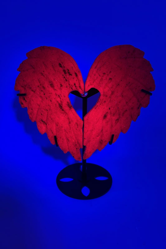 Gorgeously Flashy Ruby Heart Wings with Free Holder