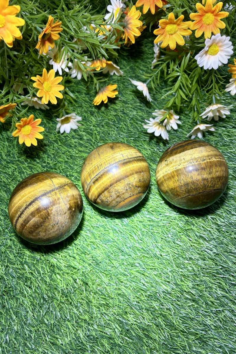 Medium Shining Tiger's Eye Spheres Natural Healing Crystal Balls 2.76"
