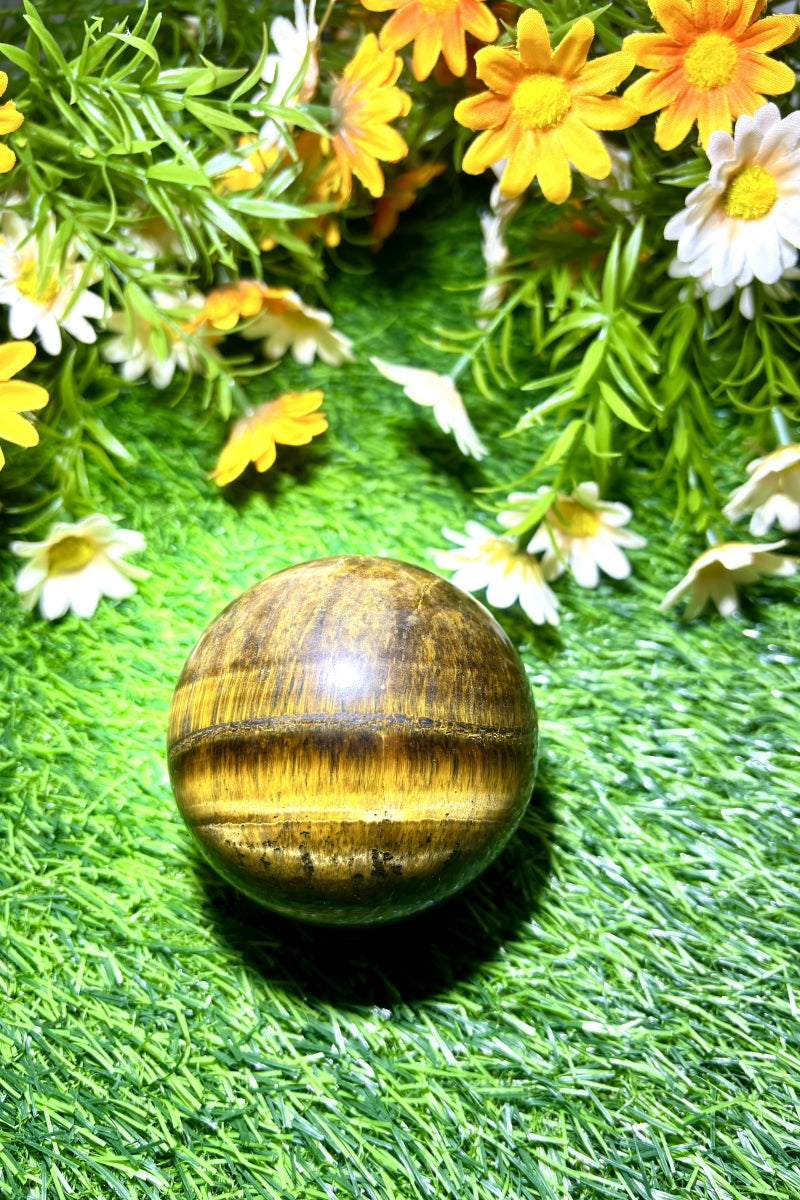 Medium Shining Tiger's Eye Spheres Natural Healing Crystal Balls 2.76"