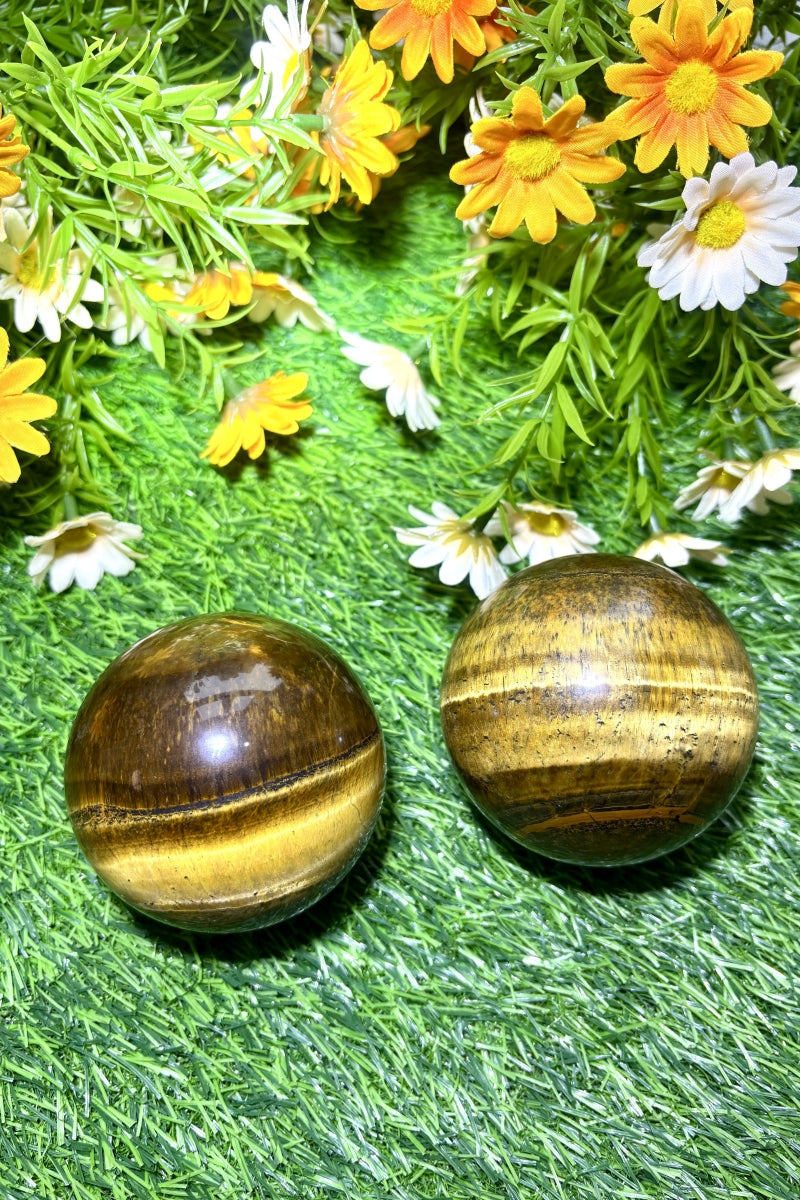 Medium Shining Tiger's Eye Spheres Natural Healing Crystal Balls 2.76"