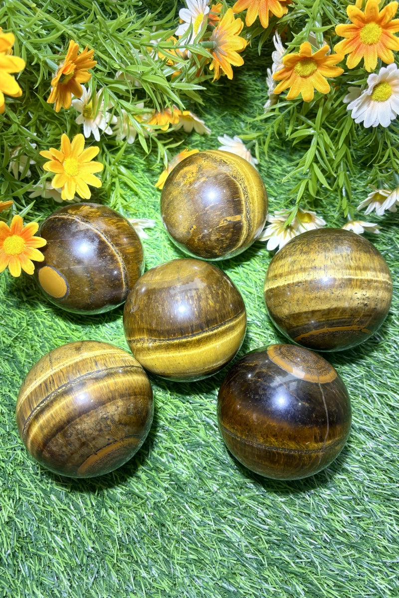 Medium Shining Tiger's Eye Spheres Natural Healing Crystal Balls 2.76"