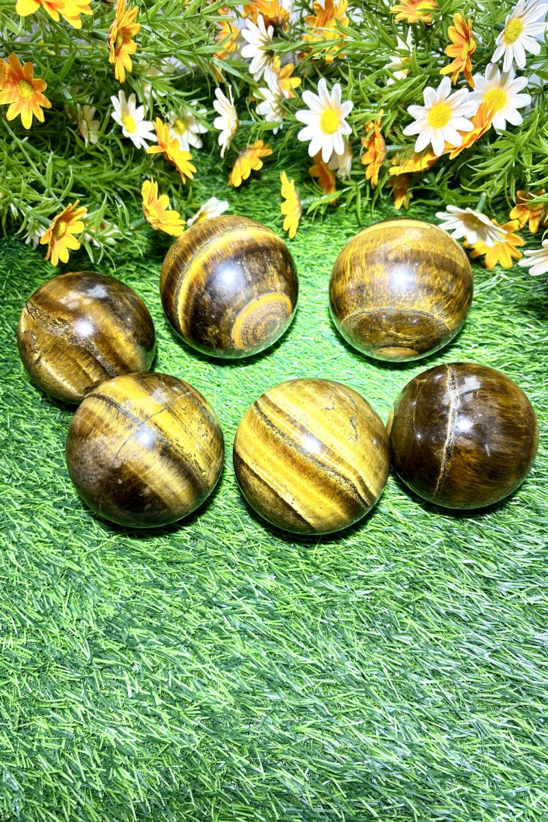 Medium Shining Tiger's Eye Spheres Natural Healing Crystal Balls 2.76"