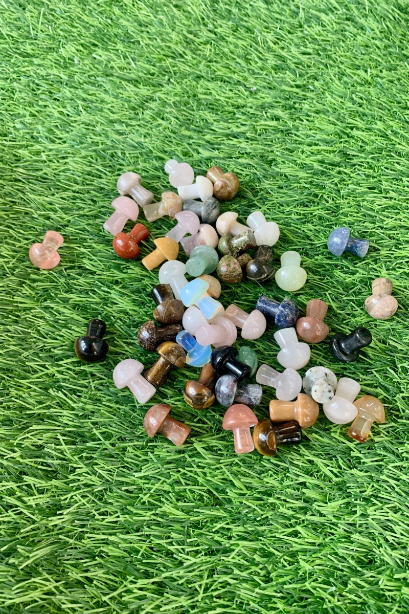 Mini Mushroom Bundle 50 Pieces in Different Materials