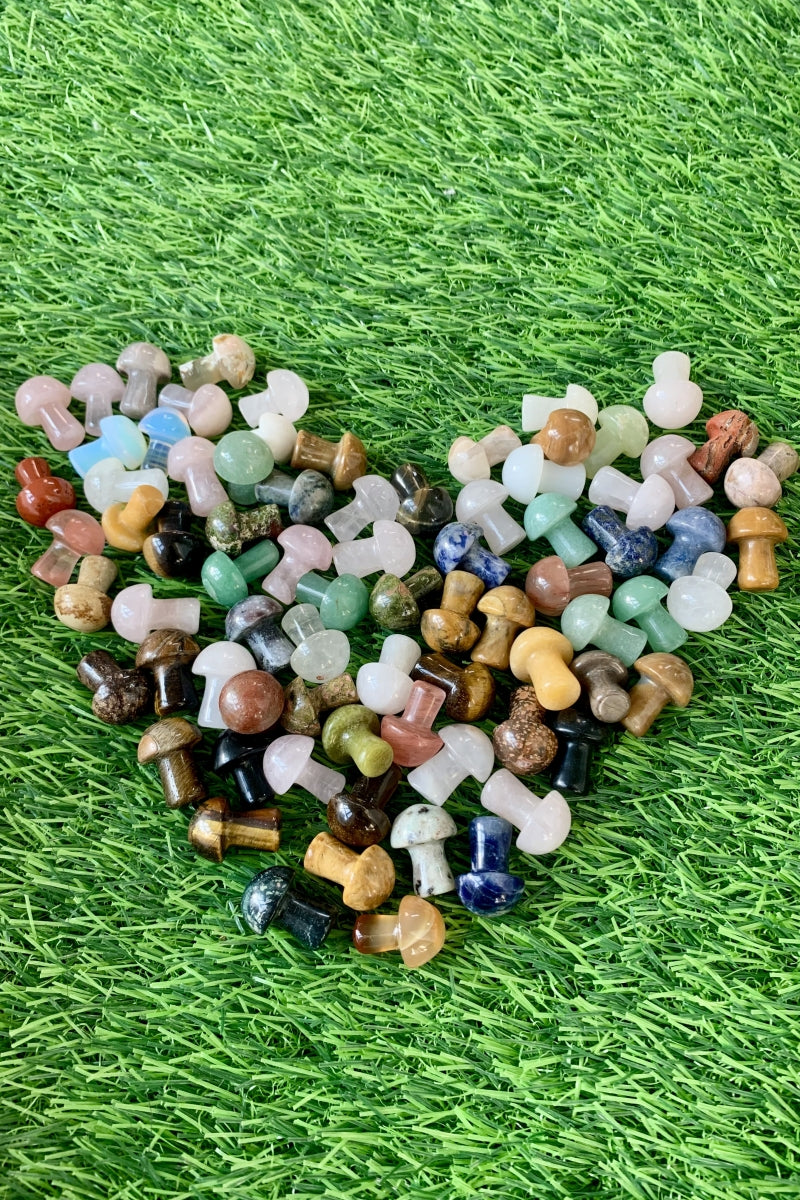 Mini Mushroom Bundle 50 Pieces in Different Materials