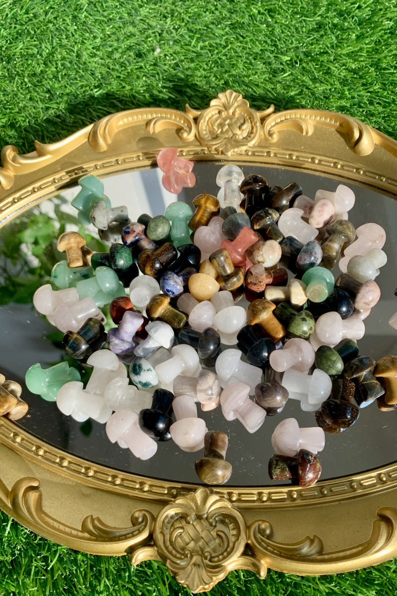 Mini Mushroom Bundle 50 Pieces in Different Materials