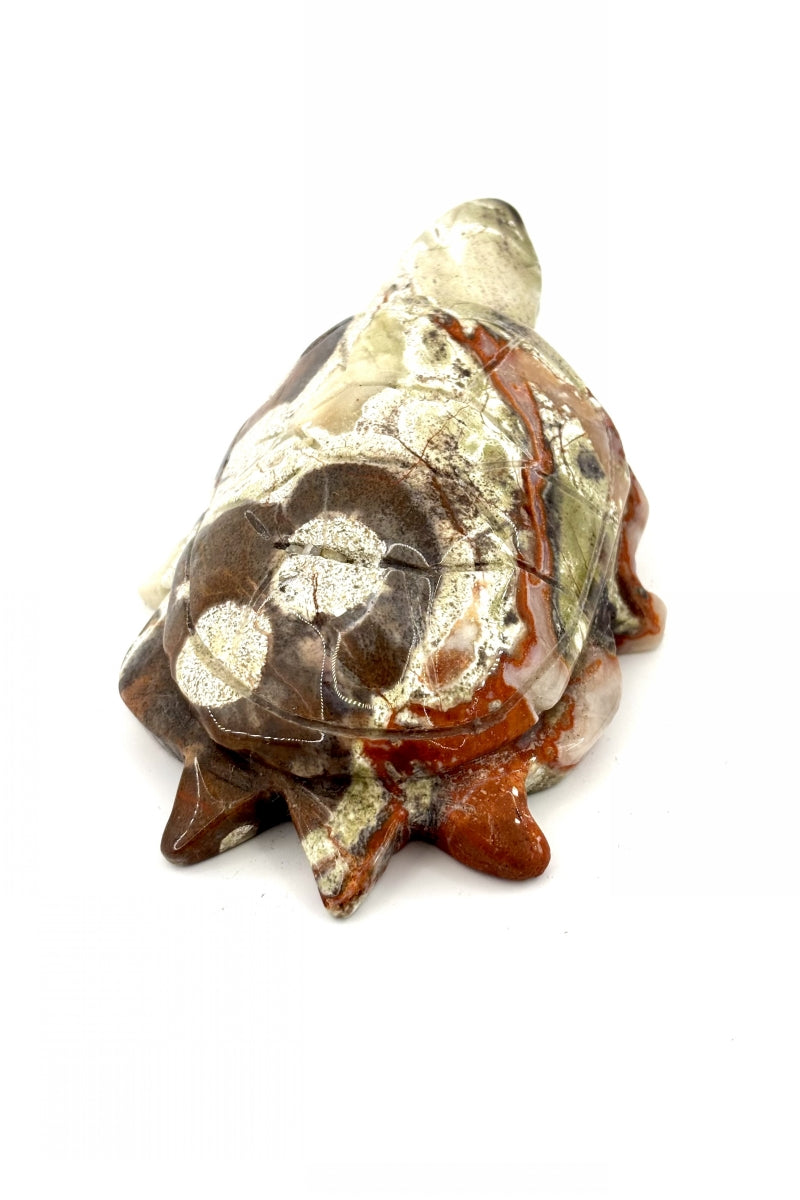 Money Agate Turtle Carvings 3.85"