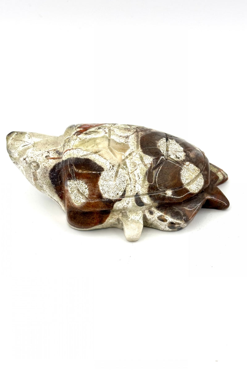 Money Agate Turtle Carvings 3.85"