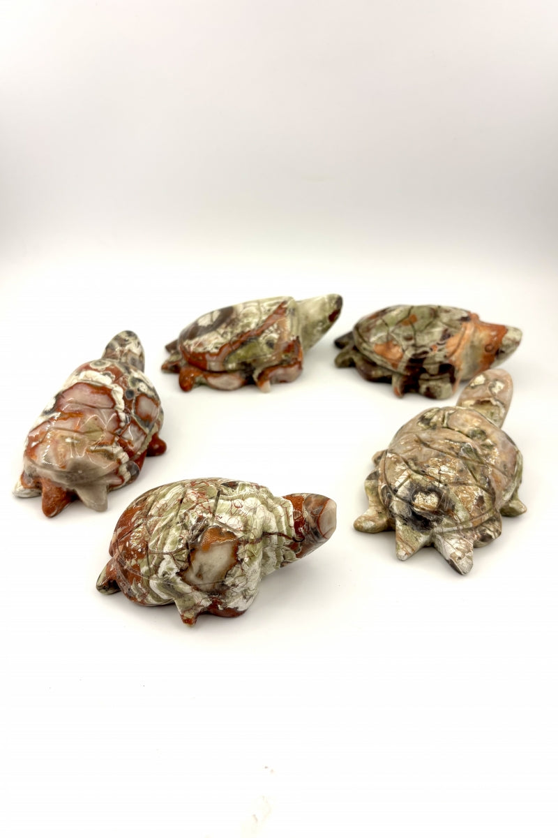 Money Agate Turtle Carvings 3.85"