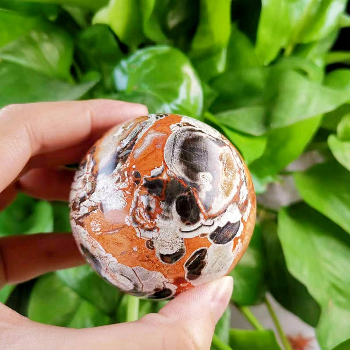 Natural Money Agate Sphere Crystal Balls 500g