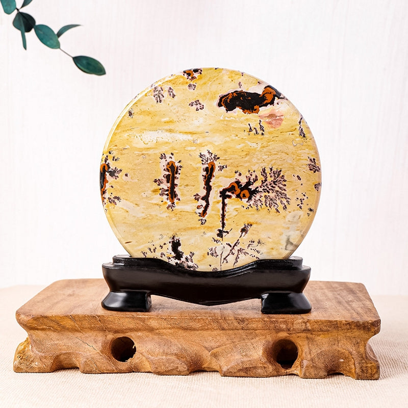 Picture Jasper with Free Holders for Home Decor
