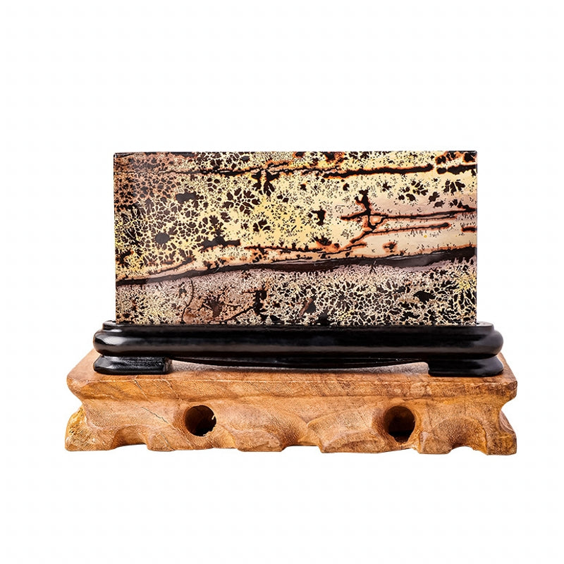 Picture Jasper with Free Holders for Home Decor