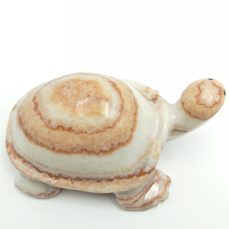 Pork Stone Turtle Carving