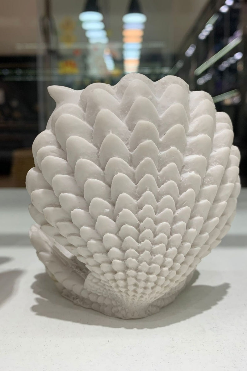 White Ocean Sea Shells Sphere Holders